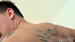 Gay Fellows Porn Action!