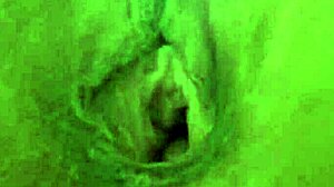 Blonde Amateur Gets Her Pussy Well Fucked!