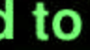 Perrita Wants It All Hard