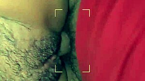 The guy gives his latina stepsister a blowjob leading to orgasm and cumshot