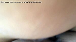 My Movie About Homemade Adventures