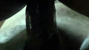 Fabinho's Adventures In The Capital Of Sp.