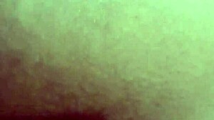 Fabinho's Adventures In The Capital Of Sp.