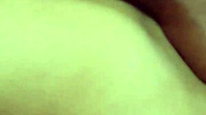 Fabinho's Adventures In The Capital Of Sp.