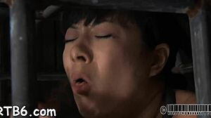 Intense Hardcore Action In Video Xv-7b39aa43f7baa9b0fad27b9010f054ac