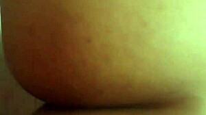 Fabinho's Adventures In The Capital Of Sp.