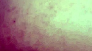 Fabinho's Adventures In The Capital Of Sp.