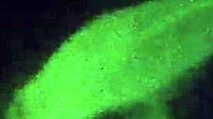 Latina Takes Hung Cock Deep.