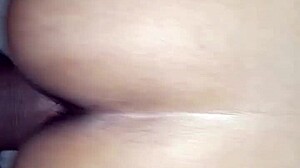 mi esposa en cuatro posiciones mexicanas