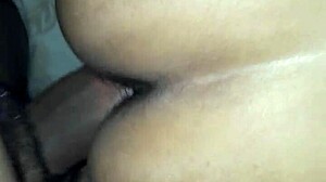 mi esposa en cuatro posiciones mexicanas