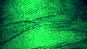 Can you lick this amateur pussy completely?