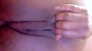 sundaydogood614 update 44 c360vid 20240128 163133 jan 29 2024