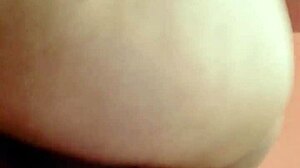 sundaydogood614 update 44 c360vid 20240128 163133 jan 29 2024