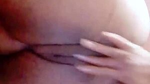 sundaydogood614 update 44 c360vid 20240128 163133 jan 29 2024