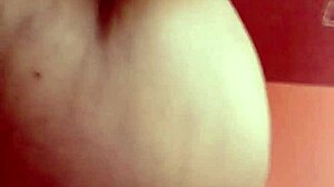 sundaydogood614 update 44 c360vid 20240128 163133 jan 29 2024