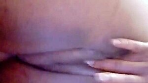 sundaydogood614 update 44 c360vid 20240128 163133 jan 29 2024