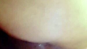 sundaydogood614 update 44 c360vid 20240128 163133 jan 29 2024