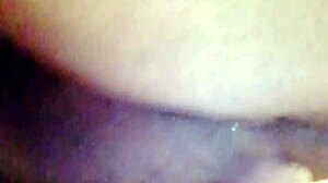 sundaydogood614 update 44 c360vid 20240128 163133 jan 29 2024