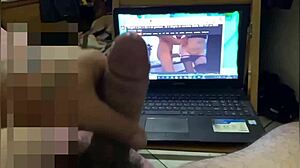 Specific Tribute Collection for Fans by Stella Still