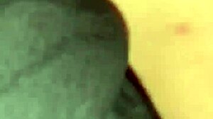 Lexi Laux is a creampie slut!