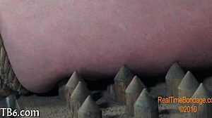 Stunning Beauty Takes on a Monstrous Challenge for Wild Fun  