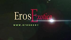 Tao of Massage Explained by Brunette Milf