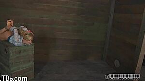 Extreme Sadomasochism Scenes to Discuss