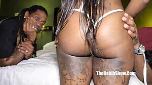 soo fine toi swallows monster bbc