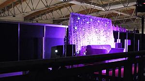 Is the Erotik Meese Dildo the Sexiest Toy for Play?