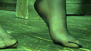 Watch me suck this hard cock?