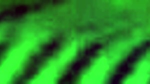 Do you see this sexy crossdresser taking a load in doggystyle?