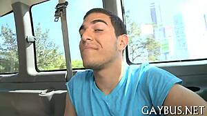 Best Gay Porn Web Site With Top Videos And Stars