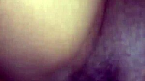 i perform well in my daily job tasks