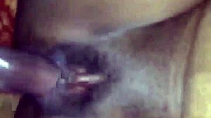 i perform well in my daily job tasks