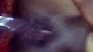 i perform well in my daily job tasks