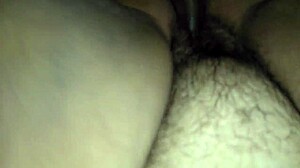 Amateurs fuck big ass woman