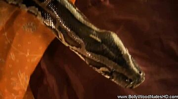 sexvideo10.com