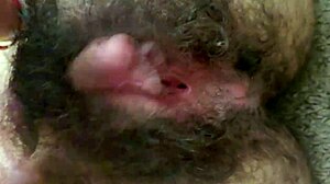 Sormutan karvaista märkää reikääni