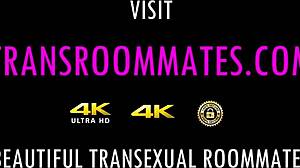 רובוט טרנס פני פיקוק מציית לזיון בלי קונדום! וואו!