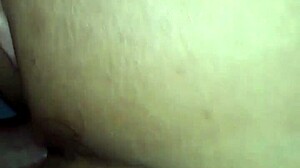 يواه برازيل الكوكولد يدق شرجي بقوة