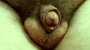 Sedenie s malým 18+ penisom na webovom chate