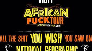 Черная сучка в POV минете и мокрой пизде под BWC