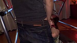 Suri rumah diikat dan dilatih dalam-dalam di rumah