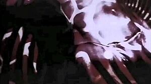 ¿Qué se esconde en la historia de trío vintage dragonfly de dark lantern entertainments?