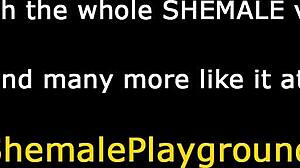 Shemale drills guy's tight hole in raw bareback action