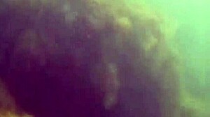 Ludi ronioc me uhvatio kako bljeskam dlakavu pičku dok plivam u moru