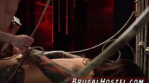 Hej, chceš vidět ty mladé 18+ turisty v extrémním venkovním bondage gangbangu?