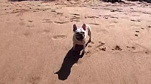 Čůrání venku je tak osvobozující a vzrušující