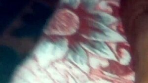 मेरी हर्मनस्ट्रा का नोवियो मुझे पैशन से बाउटिज़ा करता है