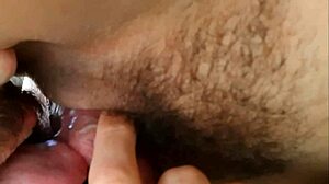 Σκύλος Μουσκεύεται σε Ζεστή Ημέρα με Λουτρό Μάνικας